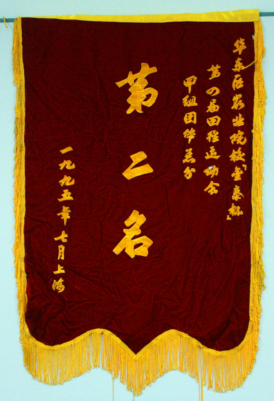 1995껪ũҵԺУ ̩Ľﾶ˶ֵܷڶ